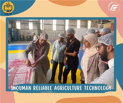 صورة من محطة كهرباء العاصمة الإدارية